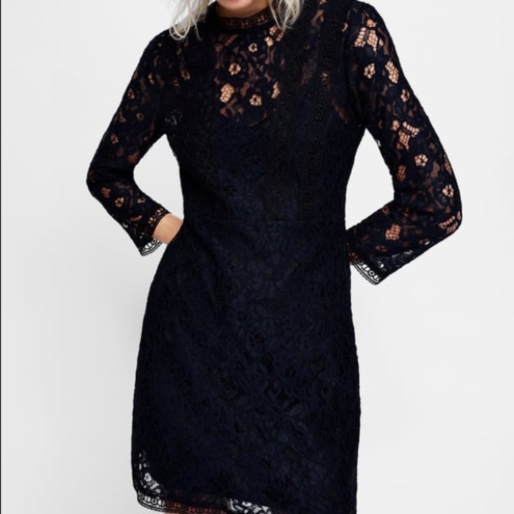 ZARA GUIPURE CONTRASTING LACE BLUE A-LINE DRESS BRAND NEW WITH TAGS LARGE - Picture 3 of 8